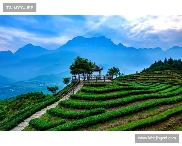 乐山七年坚持体旅融合,大渡河风景道破圈传播